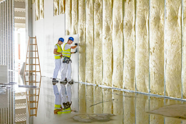 Best Residential Insulation Services  in USA